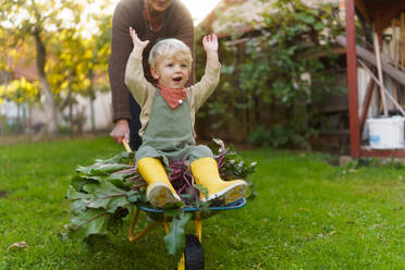 Little boy sitting at a wheelbarrow with harvest vegetable, having fun. - HPIF32674