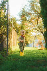 Portrait of little boy standying in the autumn garden during sunset, looking at camera. - HPIF32684