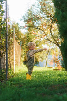 Portrait of little boy standying in the autumn garden during sunset. - HPIF32685