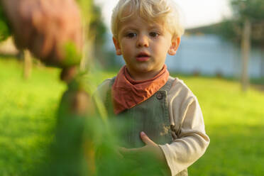LIttle boy helping with harvesting vegetable in the garden. - HPIF32686
