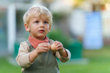 Portrait of happy little boy holding fresh eggs in the garden. - HPIF32690