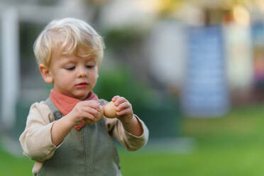 Portrait of happy little boy holding fresh eggs in the garden. - HPIF32691