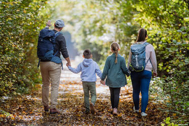 Rear view of family with kids walking in a forest. - HPIF32725