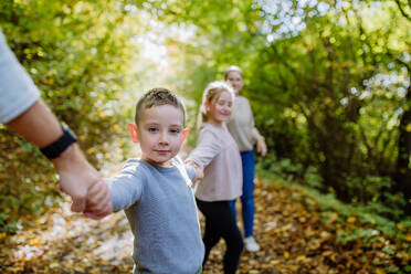 Close-up of family with kids walking in a forest. - HPIF32738