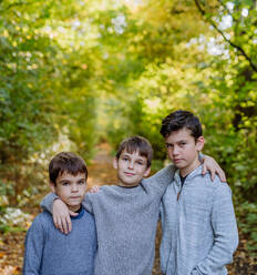 Portrait of three boys, brothers standing in a forest. - HPIF32765