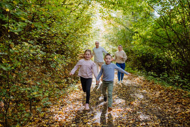Happy family with kids running in a forest. - HPIF32773