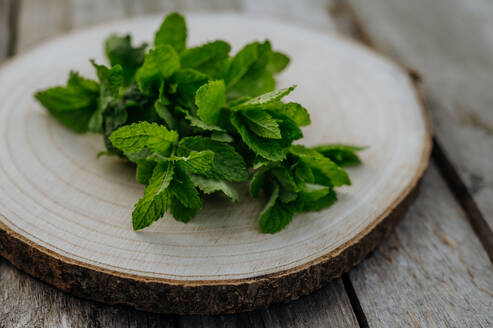 Close up of fresh lemon balm leaves on a plate. Homegrown herbs are used to prepare herbal tea. Lemon balm as a medicinal herb. - HPIF32946