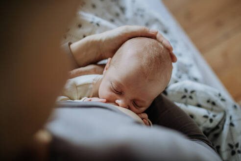 Nahaufnahme einer Mutter, die ihren kleinen neugeborenen Sohn stillt. - HPIF33058