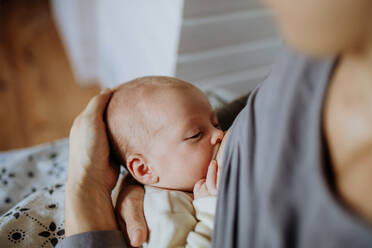 Close-up of mother brestfeeding her little newborn son. - HPIF33059