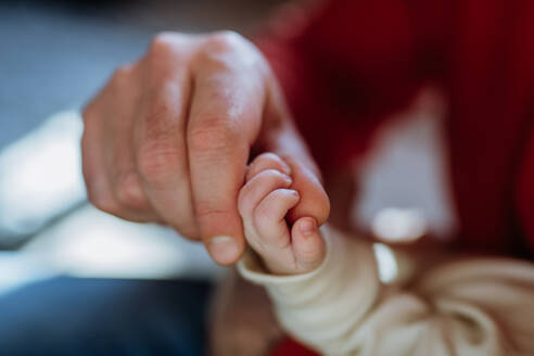 Close up of father holding hand of the newborn baby. - HPIF33097