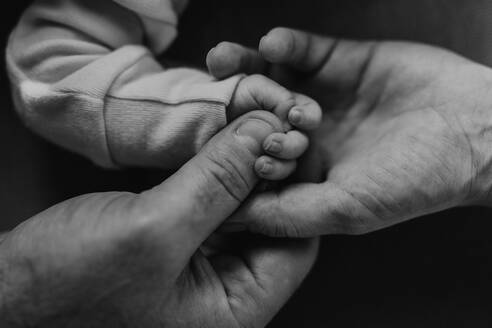 Close-up of parents holding hand of their newborn son, black and white image. - HPIF33111