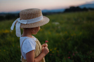 Rear view of adorable little girl with straw hat standing in the middle of summer meadow. Child with curly blonde hair picking flowers during sunset. Kids spending summer with grandparents in the countryside. - HPIF33415