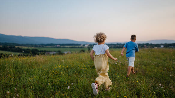 Rear view of adorable little siblings running and playing in the middle of summer meadow. Young boy and girl rush home at the evening, watching the sunset. Kids spending summer with grandparents in the countryside. - HPIF33422