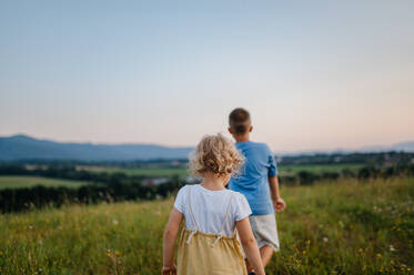 Rear view of adorable little siblings running and playing in the middle of summer meadow. Young boy and girl rush home at the evening, watching the sunset. Kids spending summer with grandparents in the countryside. - HPIF33423