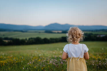 Rear view of adorable little girl standing in the middle of summer meadow. Child with curly blonde hair watching sunset. Kids spending summer with grandparents in the countryside. - HPIF33424