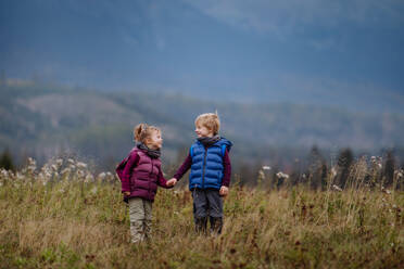 Little children holding each other hands and running at an autumn meadow. - HPIF33508