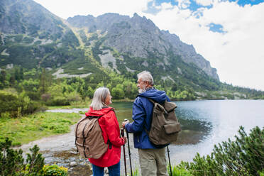 Rückansicht eines aktiven älteren Paares, das gemeinsam in den herbstlichen Bergen auf einem seniorenfreundlichen Wanderweg wandert. Ältere Ehepaare, die im Urlaub in den Bergen ihren Jahrestag feiern. Ältere Touristen mit Rucksäcken, die Trekkingstöcke für Stabilität verwenden. - HPIF33614