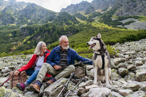 Aktives älteres Ehepaar mit Hund beim Wandern in den herbstlichen Bergen, auf einem seniorenfreundlichen Wanderweg. Ältere Touristen mit Rucksäcken ruhen sich aus und streicheln ihren Siberian Husky Hund. - HPIF33627