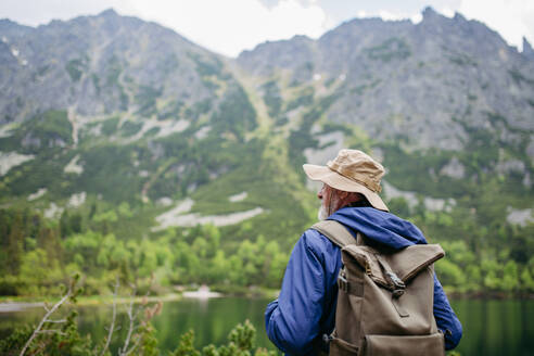 Rückansicht eines aktiven älteren Mannes, der in den herbstlichen Bergen auf einem seniorenfreundlichen Wanderweg wandert. Ein älterer Tourist mit Rucksack schaut durch ein Fernglas. - HPIF33655