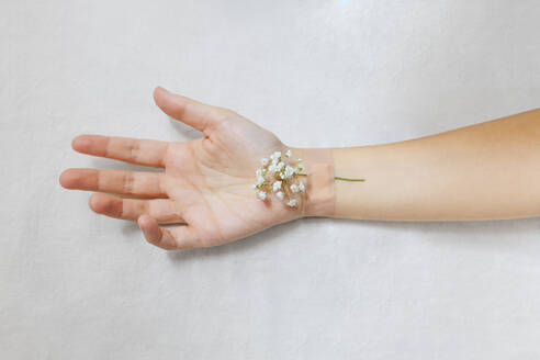 Hand of woman with flowers against white background - MMPF01078