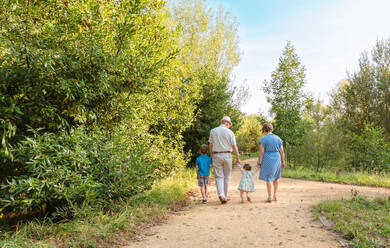 Back view of grandparents and grandchildren walking on a nature path - ADSF50051