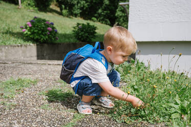 Side view of cute preschool kid boy in casual clothes looking away while sitting on ground with backpack near green plants and playing on sunny day - ADSF50090