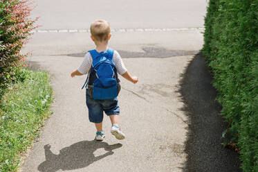 High angle of back view of anonymous preschool boy in casual clothes with backpack and walking along path with shadow near green plants on sunny day - ADSF50094