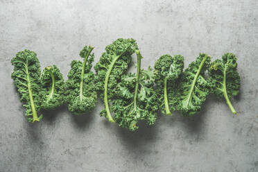 Green raw kale leaves in line on grey concrete kitchen table. Healthy seasonal winter vegetable. Cooking with fresh ingredients. Modern food background. Top view. - ADSF50190