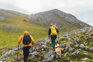 Zwei Bergsteiger mit Rucksäcken wandern an einem bewölkten Tag mit ihrem Hund in den Bergen. Aktivitäten im Freien und gesunde Lebensweise - ADSF50199