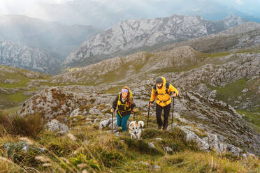 Zwei Wanderer, die mit ihrem Hund in den Bergen wandern. Ein Bergsteigerpaar, das einen Berg besteigt. Sport und körperliche Aktivität in der Natur. - ADSF50219