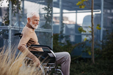 Älterer Mann im Rollstuhl sitzt draußen in einem städtischen Garten und genießt einen warmen Herbsttag. Porträt eines eleganten älteren Mannes mit grauen Haaren und Bart in einem Dachgarten in der Stadt. - HPIF34242
