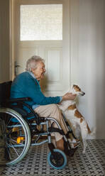 Eine ältere Frau im Rollstuhl genießt die Zeit mit ihrem kleinen Hund. - HPIF34261