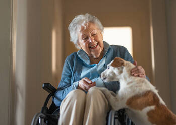 Eine ältere Frau genießt die Zeit mit ihrem kleinen Hund zu Hause. Hund als Begleiter, beste Freunde für Senioren. - HPIF34264