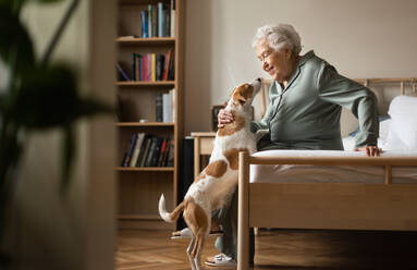 Eine ältere Frau genießt die Zeit mit ihrem kleinen Hund zu Hause. - HPIF34281