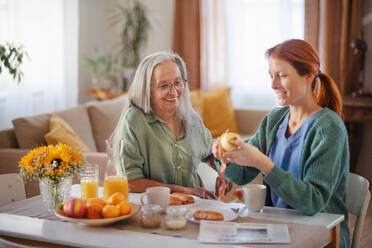 Betreuerin bereitet das Frühstück für eine ältere Klientin in einem Bett vor. - HPIF34386