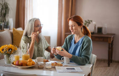 Krankenschwester verbringt Zeit mit einer älteren Frau zu Hause und frühstückt gemeinsam mit ihr gesund. - HPIF34425