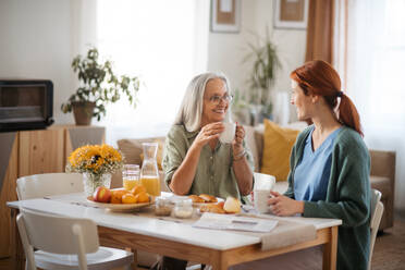 Krankenschwester verbringt viel Zeit mit einer älteren Frau zu Hause, redet mit ihr und trinkt gemeinsam Kaffee. Weibliche Pflegekraft kümmert sich um einen älteren Patienten. - HPIF34426