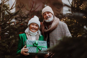 Glückliches älteres Paar genießt den Weihnachtsmarkt im Freien, kauft Geschenke und Weihnachtsbaum. - HPIF34458
