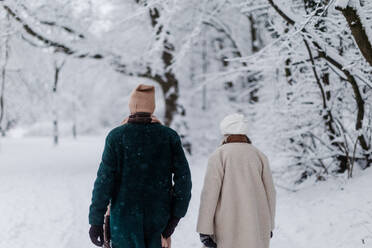 Rückansicht eines eleganten älteren Paares, das im verschneiten Park spazieren geht, während eines kalten, verschneiten Wintertages. Älteres Paar, das seinen Winterurlaub in den Bergen verbringt. Winterliche Landschaft. - HPIF34465