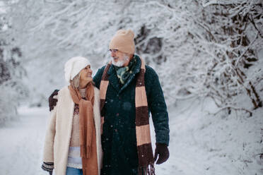 Elegantes älteres Paar, das im verschneiten Park spazieren geht, während eines kalten, verschneiten Wintertages. Älteres Paar, das Winterurlaub in den Bergen verbringt. Winterliche Landschaft. - HPIF34467