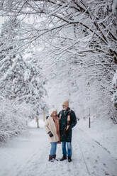 Elegantes älteres Paar, das im verschneiten Park spazieren geht, während eines kalten, verschneiten Wintertages. Älteres Paar, das Winterurlaub in den Bergen verbringt. Winterliche Landschaft. - HPIF34468