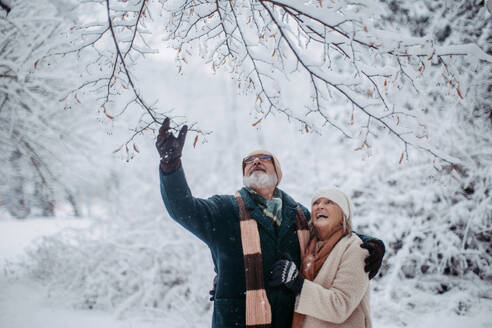 Elegant senior couple walking in the snowy park, during cold winter snowy day. Elderly man shaking snow off the branch, laughing. Wintry landscape. - HPIF34473