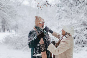 Elegant senior couple walking in the snowy park, during cold winter snowy day. Elderly woman brushing off snow from husband's winter coat. Wintry christmas landscape. - HPIF34475