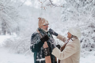 Elegantes älteres Paar, das im verschneiten Park spazieren geht, während eines kalten, verschneiten Wintertages. Ältere Frau, die den Schnee vom Wintermantel ihres Mannes abstreift. Winterliche Weihnachtslandschaft. - HPIF34475