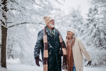 Elegant senior couple walking in the snowy park, during cold winter snowy day. Elderly couple spending winter vacation in the mountains. Wintry landscape. - HPIF34476