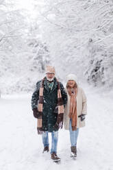 Elegant senior couple walking in the snowy park, during cold winter snowy day. Elderly couple spending winter vacation in the mountains. Wintry landscape. - HPIF34477