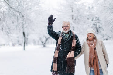 Eleganter älterer Mann winkt jemandem beim Spaziergang im verschneiten Park zu. Älteres Paar im Winterurlaub in den Bergen. Winterliche Landschaft. - HPIF34478