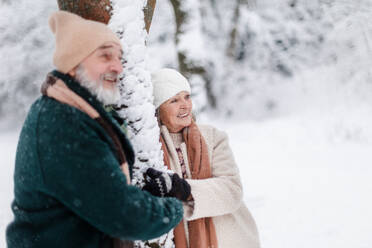 Elegantes älteres Paar, das an einem Baum im verschneiten Park steht, während eines kalten, verschneiten Wintertages. Älteres Paar, das Winterurlaub in den Bergen verbringt. Winterliche Landschaft. - HPIF34484