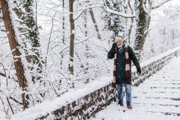 Eleganter älterer Mann, der bei einem Spaziergang im verschneiten Park jemanden anruft. Älterer Mann im Winterurlaub in den Bergen. Winterliche Landschaft. - HPIF34487