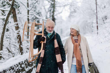 Elegantes älteres Paar, das mit dem Schlitten im verschneiten Park spazieren geht, während eines kalten, verschneiten Wintertages. Älteres Paar, das Winterurlaub in den Bergen verbringt. Winterliche Landschaft. - HPIF34488